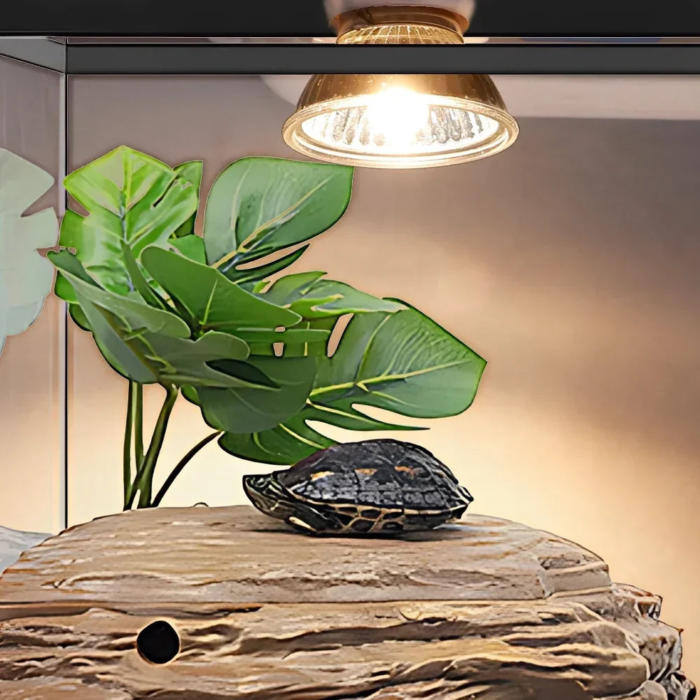 25/50/75W UVB Reptile Lamp Bulb Tortoise - ProPawPet.com