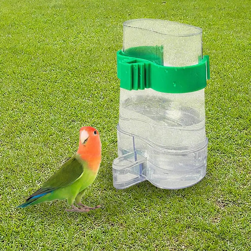 Automatic Bird Water Dispenser Bird Drinking - ProPawPet.com