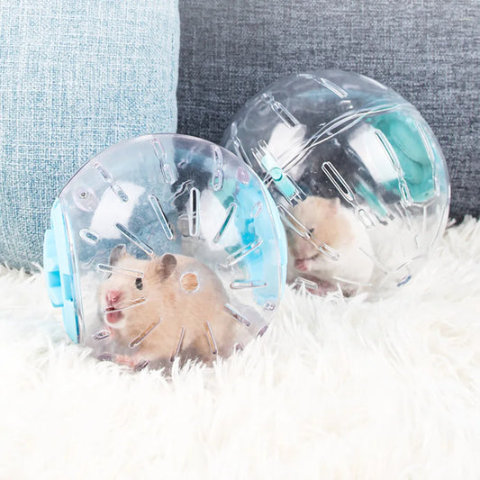 10/12CM, Plastic Outdoor Sport Ball, - ProPawPet.com