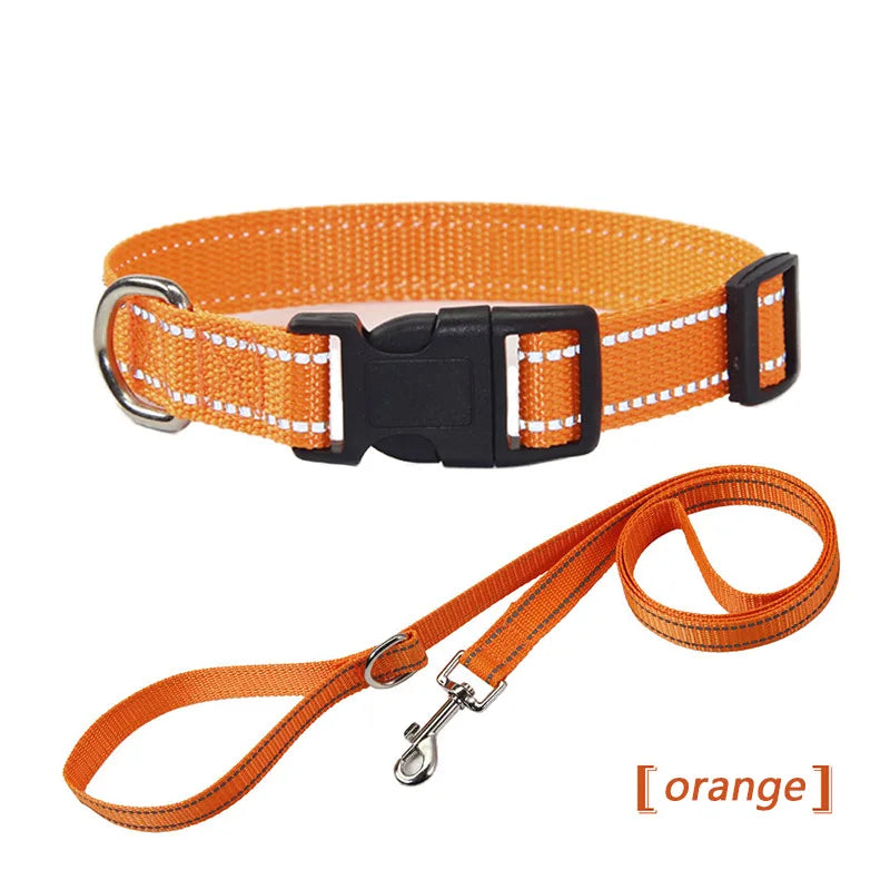 Reflective Dog Pet Towing Rope Guard Rope - ProPawPet.com