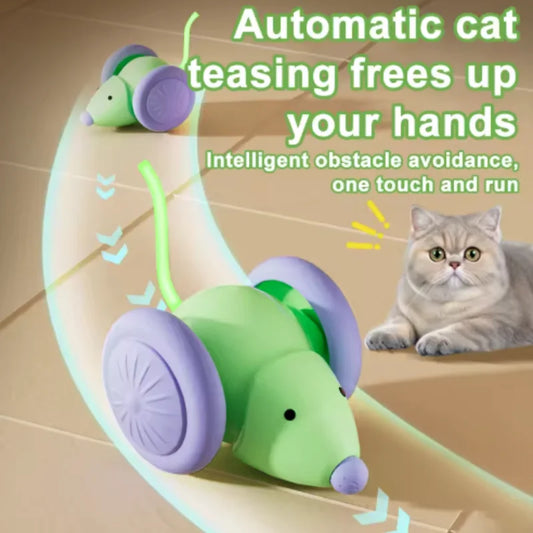 Rechargeable Interactive Electric Mouse Car - ProPawPet.com