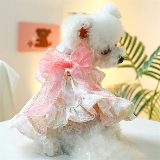 Romantic Lace Pet Dog Summer Dresses Floral - ProPawPet.com