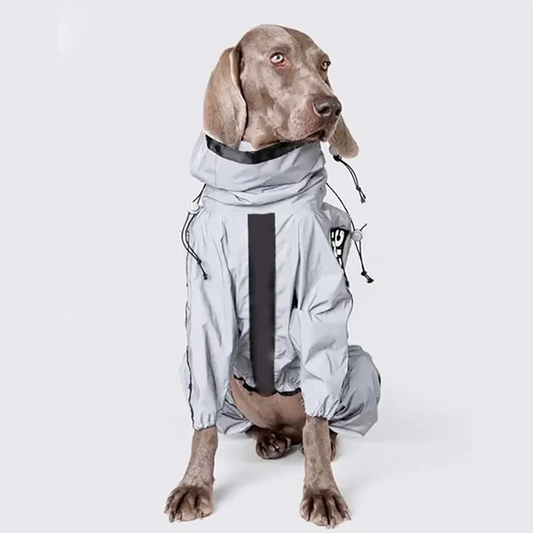 Reflective Pet Dog Jumpsuit Waterproof - ProPawPet.com