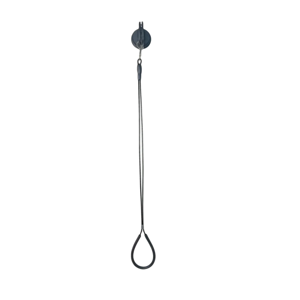 Professional Dog Bathing Tether Anti Movement Adjustable – Dog Supplies