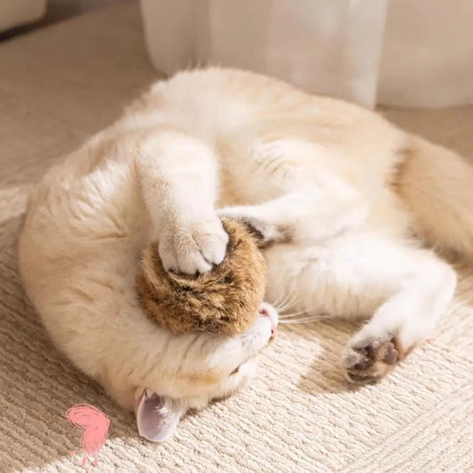 Cat Bunny-kick Ball Furry Ball Cat Toy Soft - ProPawPet.com