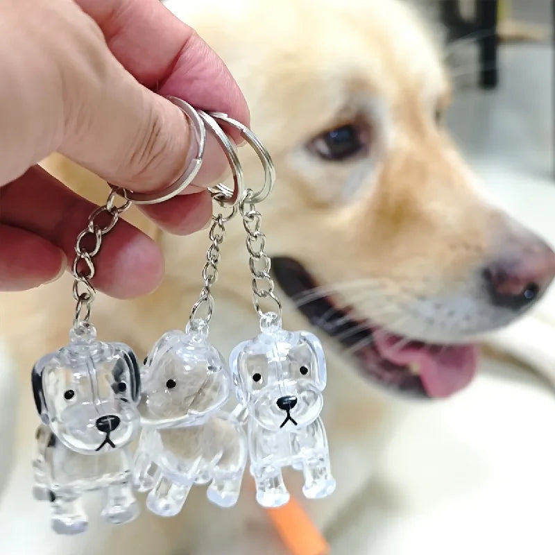 Transparent Pet Hair Capsule Keychain Dog - ProPawPet.com