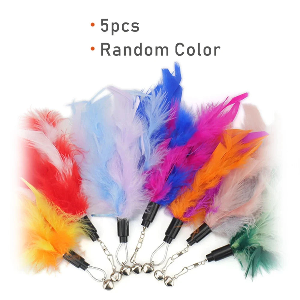 Random Mix Feather Cat Toy – Cat Toys & Play