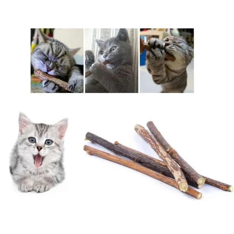 Natural Silver Vine Chew Sticks Catnip Molar - ProPawPet.com