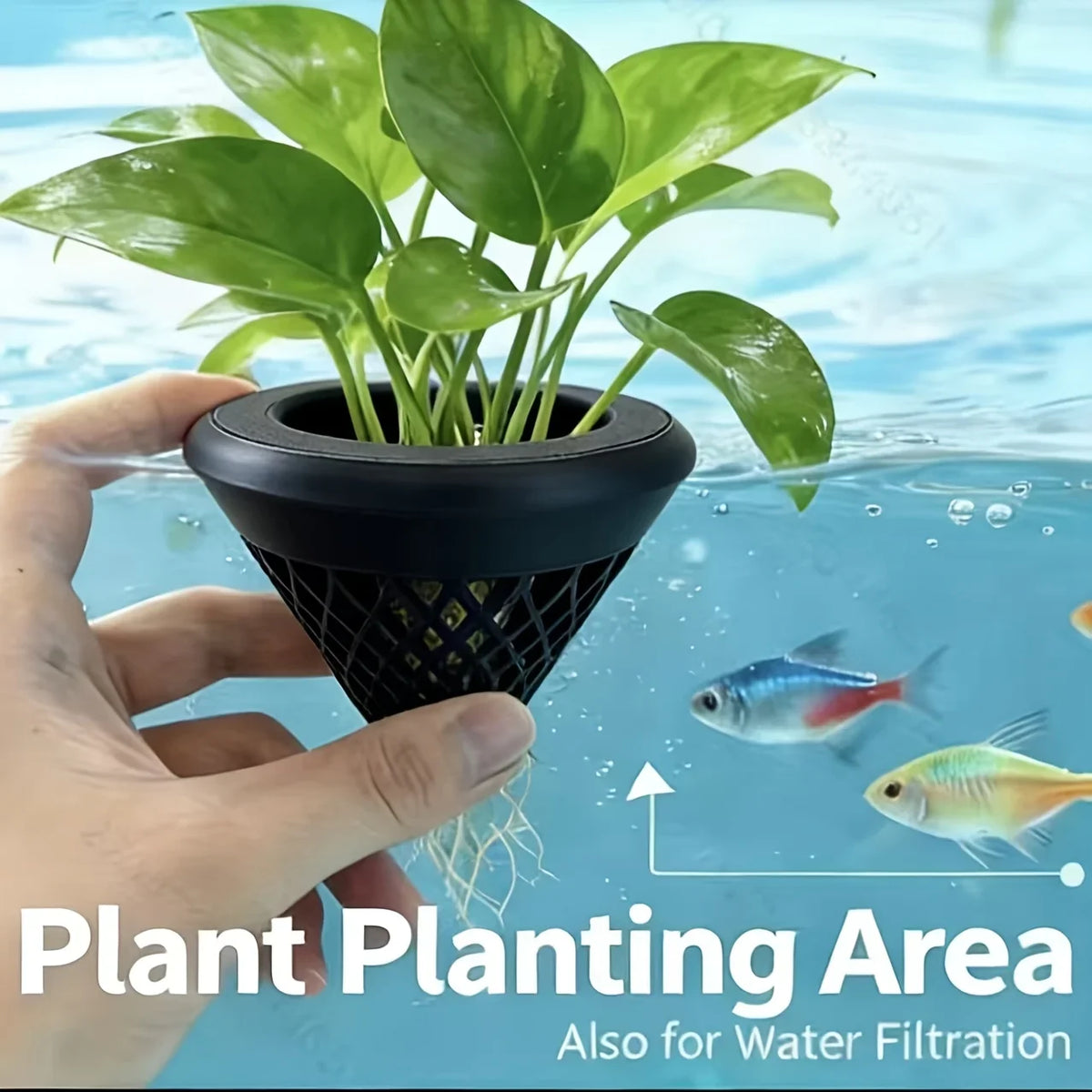 Floating Planting Basket for Fish Tanks, - ProPawPet.com