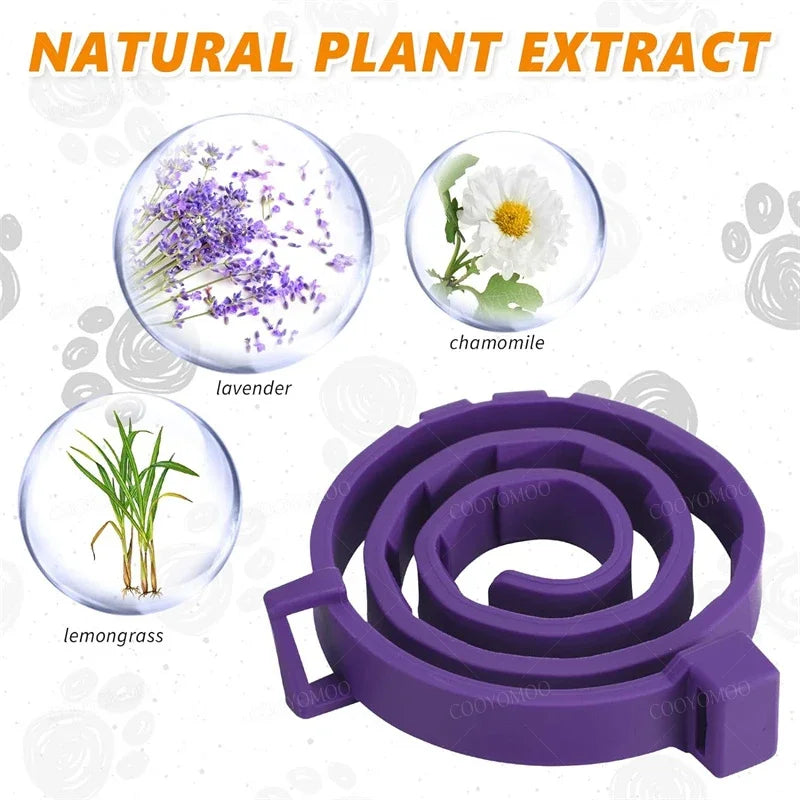 New Release Cat Dog Calming Collar Pets - ProPawPet.com