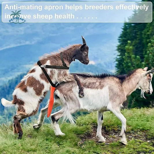 Adjustable Strap Goats Anti Breeding Apron - ProPawPet.com
