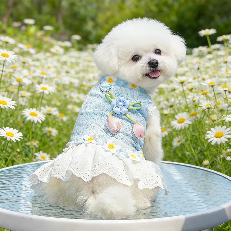 Summer Mesh Dog Dress Breathable Mesh Lace - ProPawPet.com