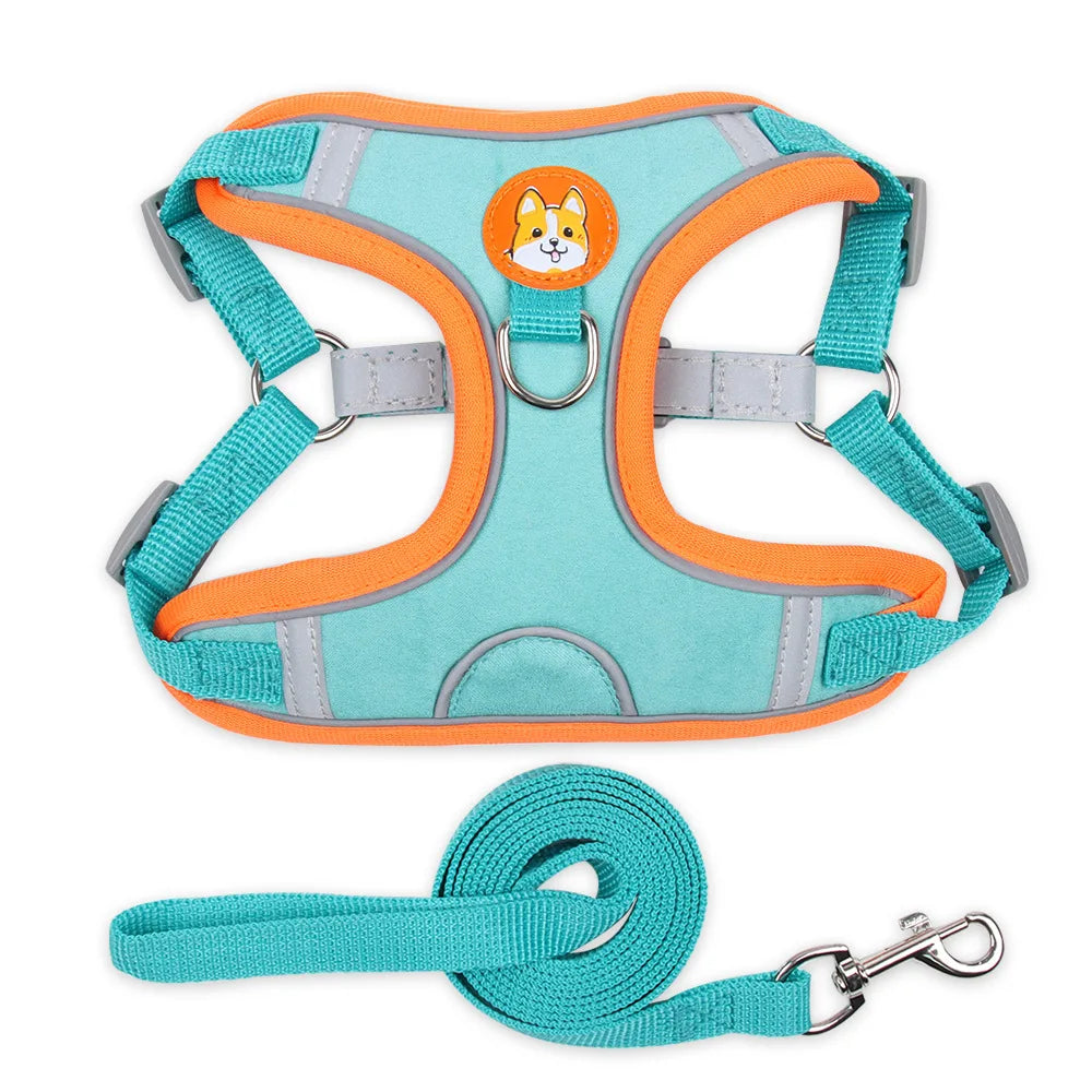 Cat Harness Small Dog Leash Pomeranian Puppy - ProPawPet.com