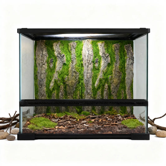 Reptile Tank Background Board 3D Aquarium - ProPawPet.com