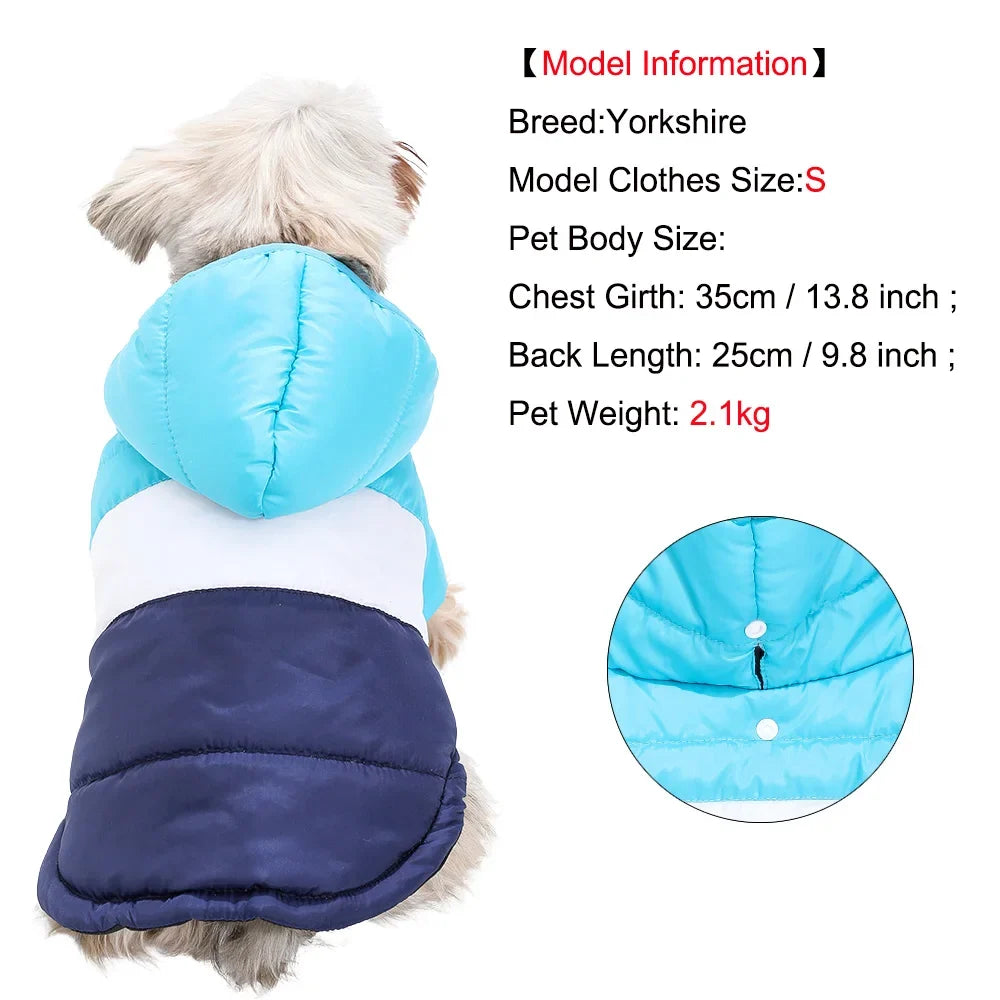 Windproof Pet Dog Jacket Coat Winter Warm - ProPawPet.com