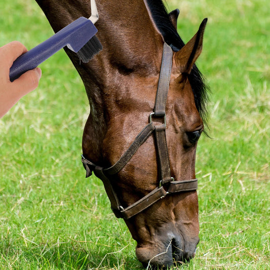 Horse Grooming Tool Hoof Pick with Fine - ProPawPet.com
