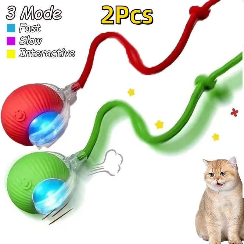 Rechargeable Dog & Cat Interactive Ball Toy