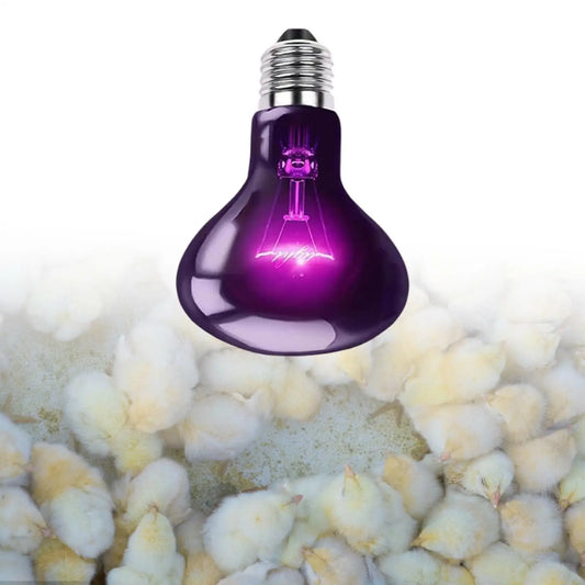 Reptile Night Light Bulb Simulated Moonlight - ProPawPet.com