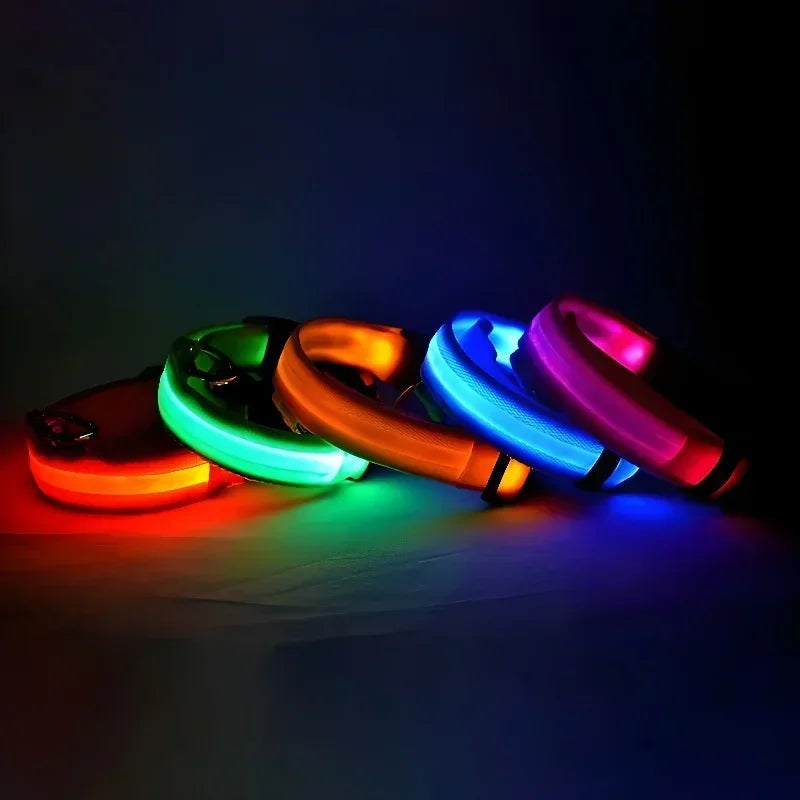 Dog Collar Nylon LED Night Safety Flashing - ProPawPet.com
