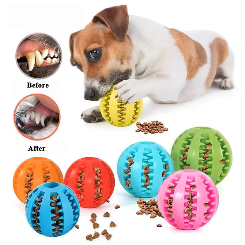 Interactive Silicone Rubber Ball for Dogs - ProPawPet.com