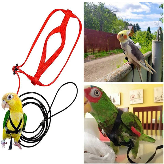 Training Flying Traction Rope Anti-Bite - ProPawPet.com