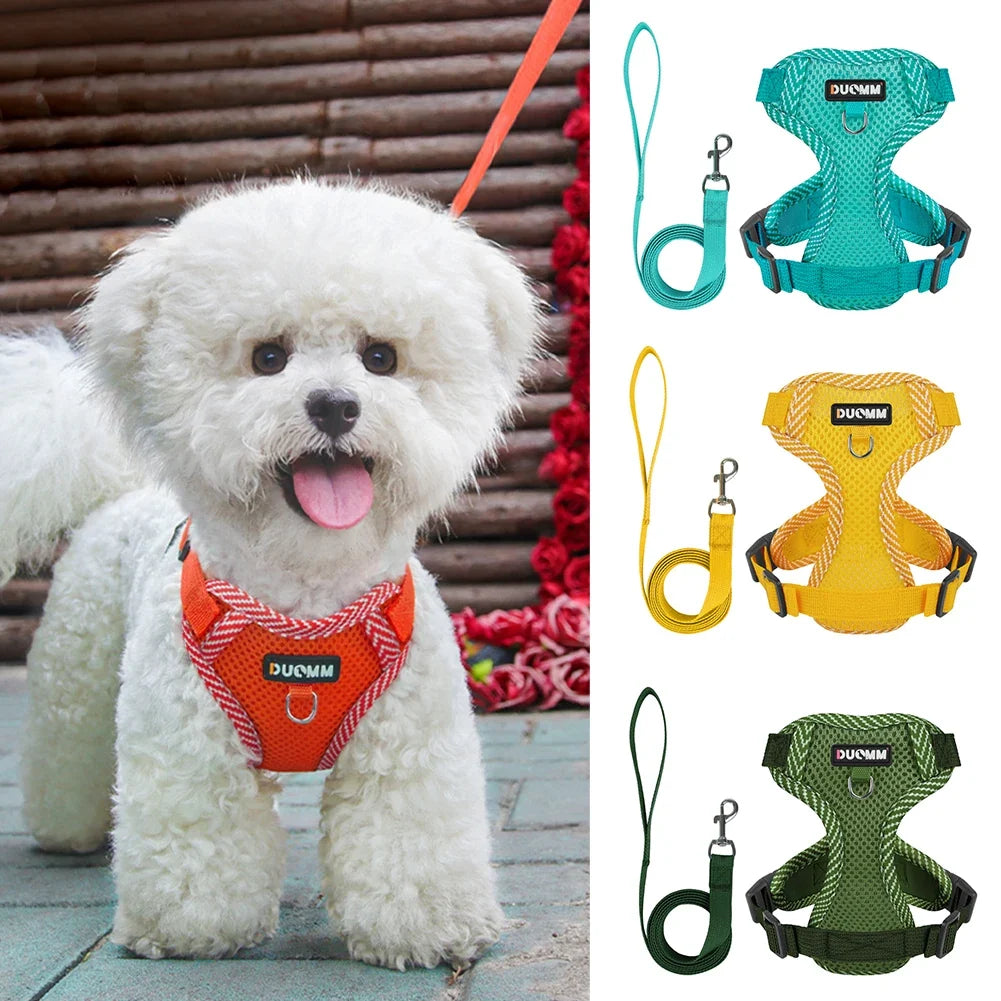 Adjustable Vest Chest Cat Collars Rope Small - ProPawPet.com