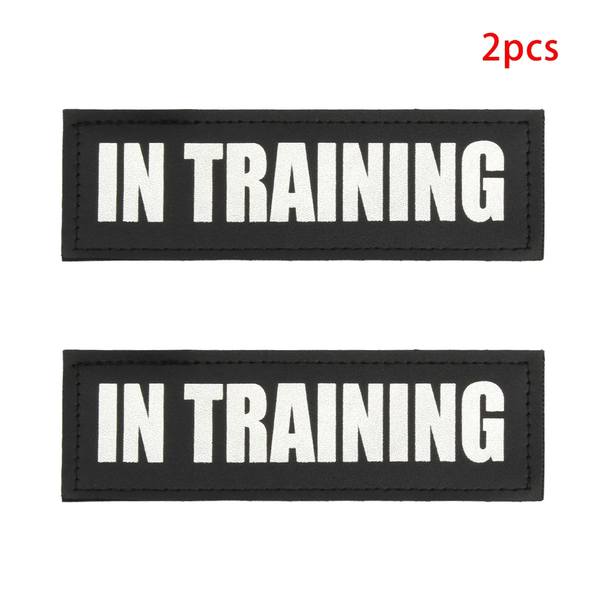 2PCS Custom Logo Dog Name Personalized Dog - ProPawPet.com