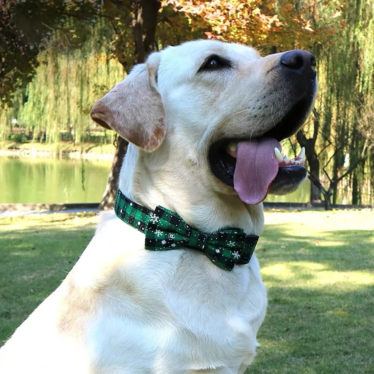 Dog Collar with Bow tie,Christmas Plaid - ProPawPet.com