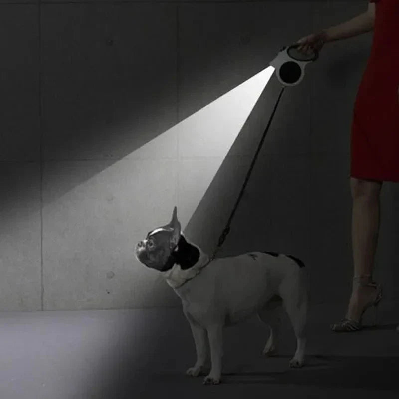 1Pcs 16ft Illuminated Retractable Dog Leash - ProPawPet.com
