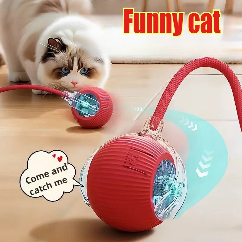 Interactive Rolling Cat Ball Dog Toy Rolling - ProPawPet.com