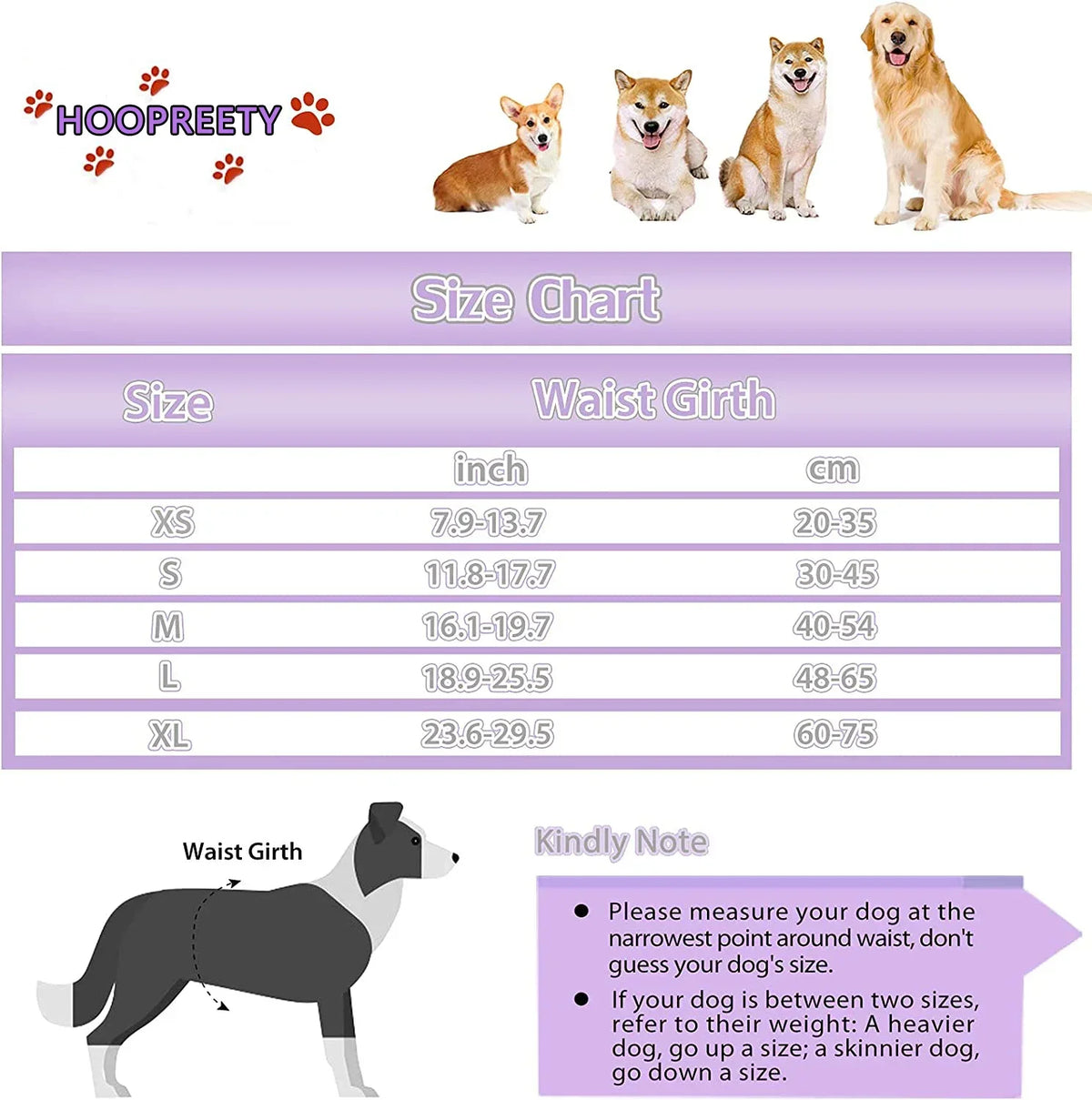 Reusable Female Dog Diapers Warps High - ProPawPet.com