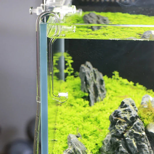 VIV BETTER LIFE CO2 System Diffuser Bubble - ProPawPet.com