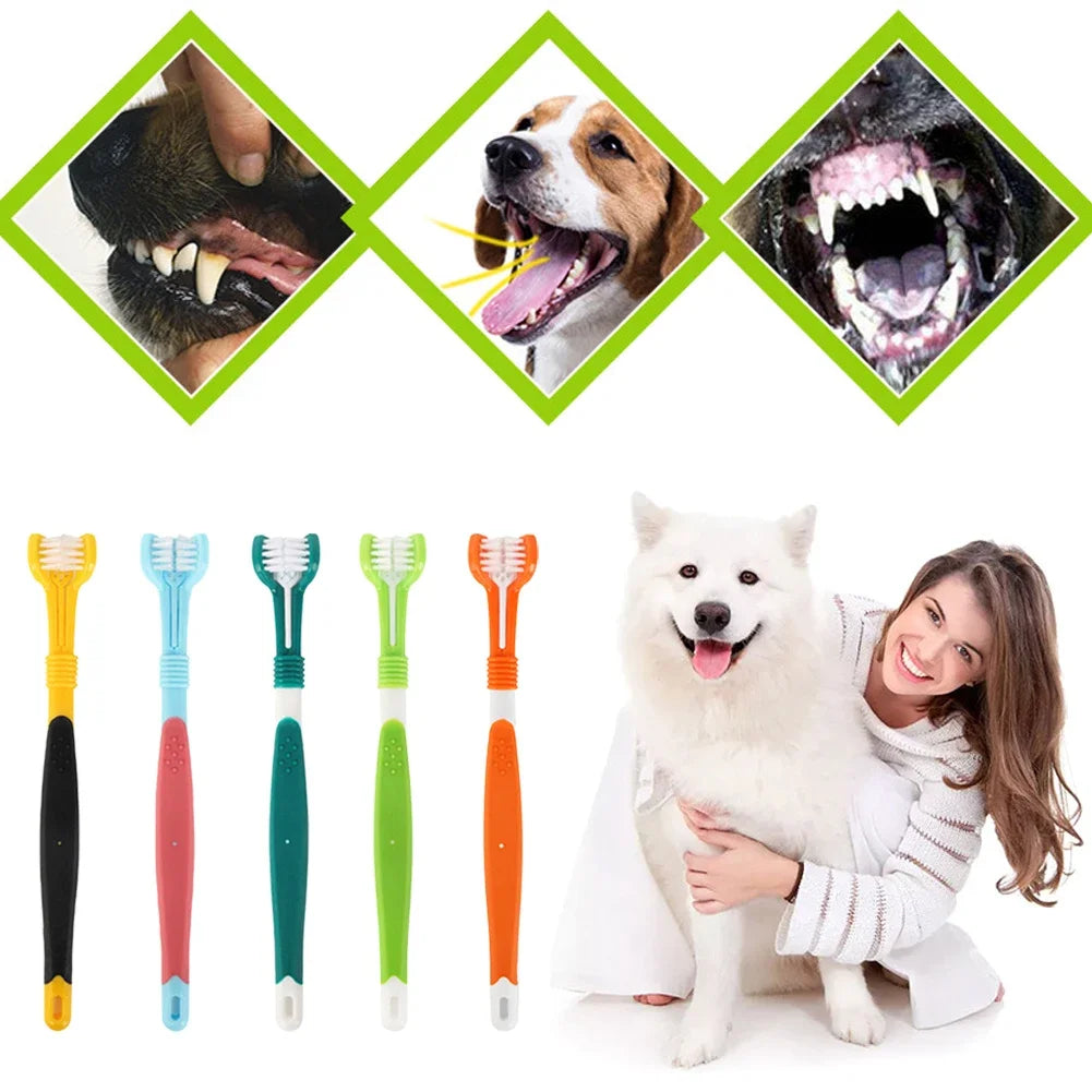 Three Sided Pet Toothbrush Three-Head - ProPawPet.com
