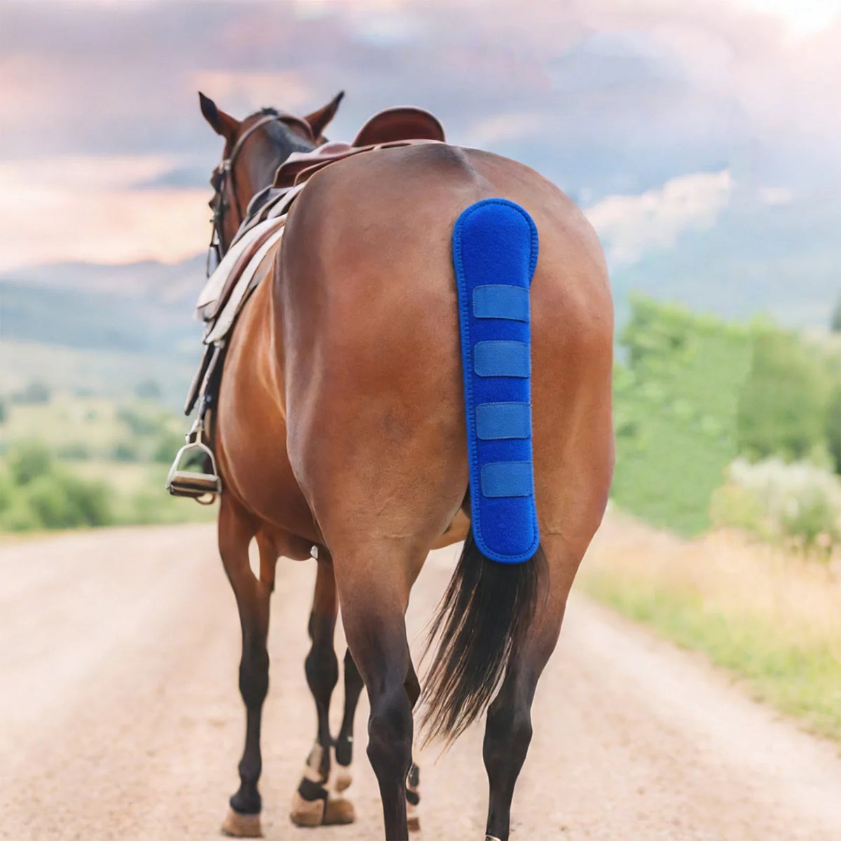 Horse Tail Wrap Protective Breathable - ProPawPet.com