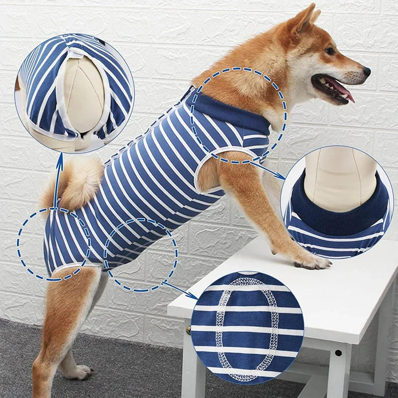 Dog Recovery Suit Abdominal Wound Surgical - ProPawPet.com