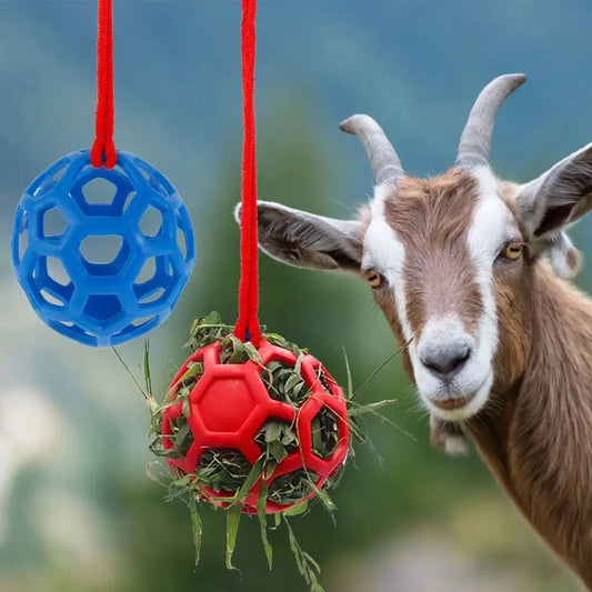 TPR Horse Treat Ball 5.5inch Red/Blue/Green - ProPawPet.com