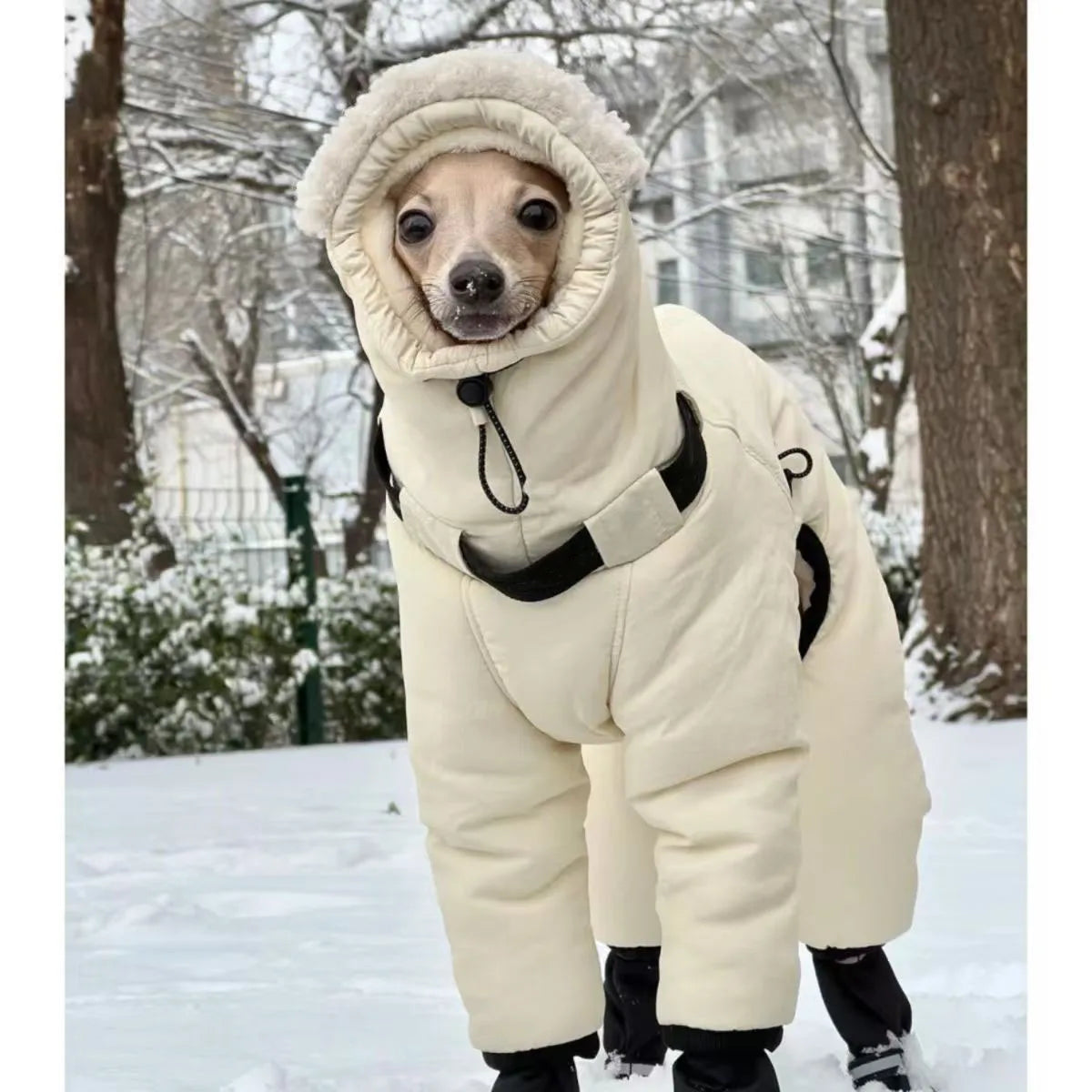 Winter Dog Jacket,Thickened Warm Dog Clothes - ProPawPet.com