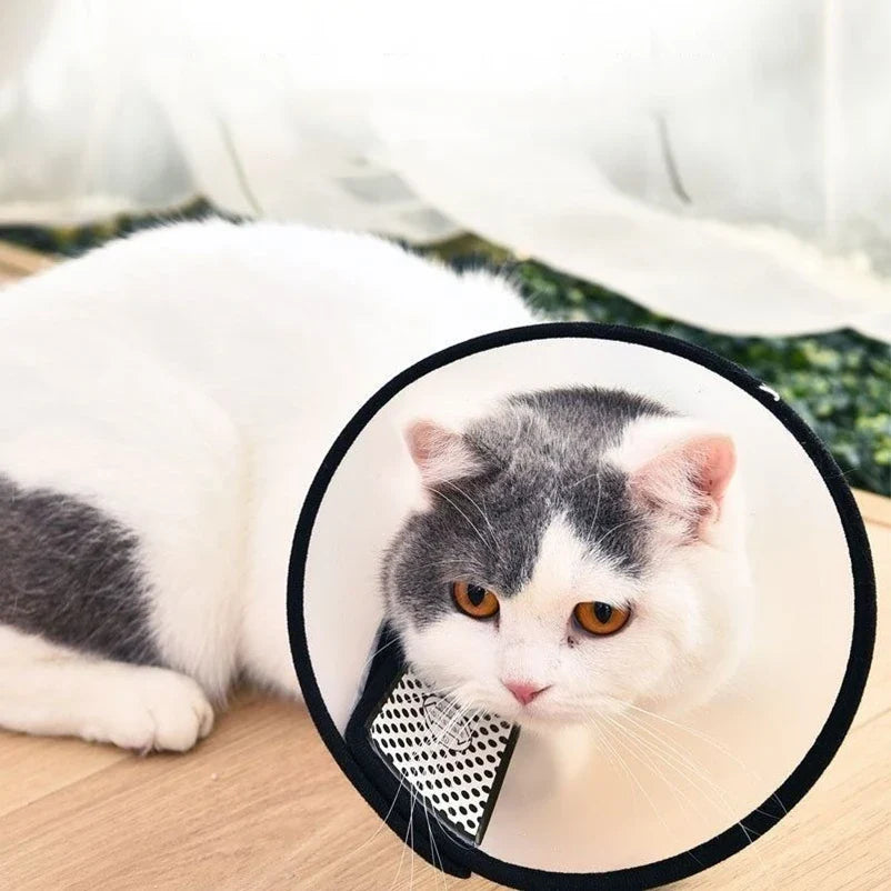 Prevent BiteTransparent Dog Cat Protection - ProPawPet.com