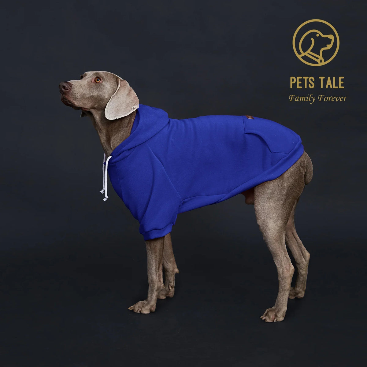 Solid Color Dog Hoodie with Pocket, Leather - ProPawPet.com