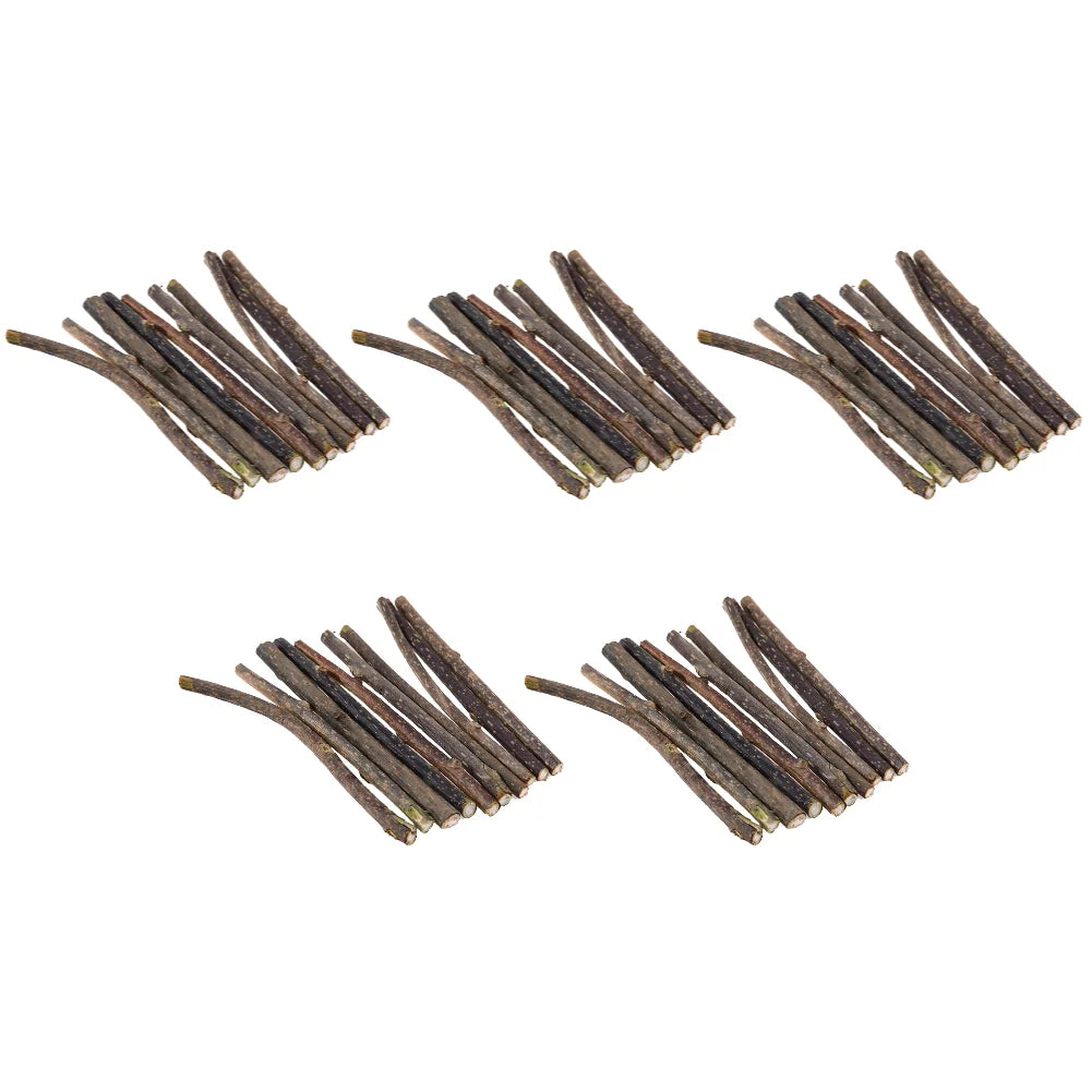 10- Natural Cat Catnip Toy Kitten Molar Chew Stick Pet – Cat Supplies