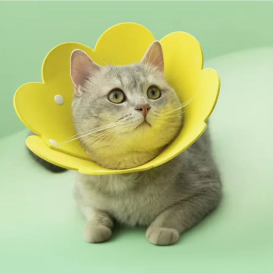Cute Flower Shaped Adjustable Elizabethan - ProPawPet.com