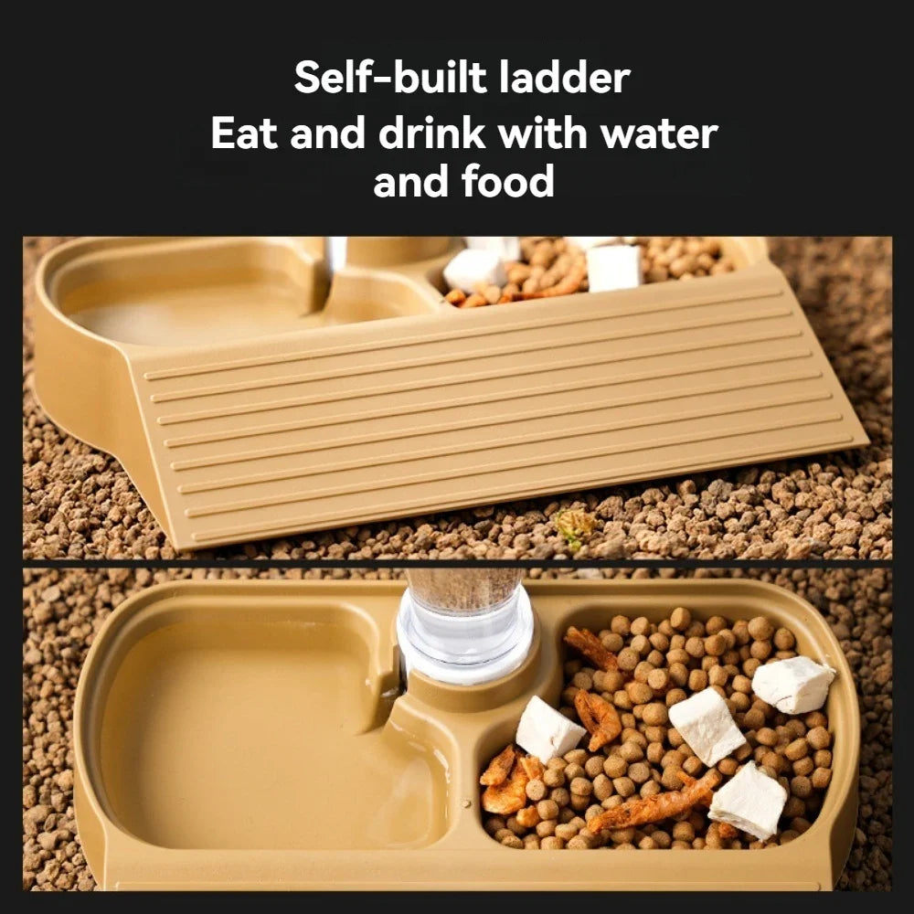 Reptile Water ,Dish Food Feeders Bowl,Large - ProPawPet.com
