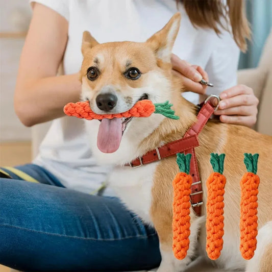 Carrot Shaped Dog Rope Toy Safe Durable - ProPawPet.com