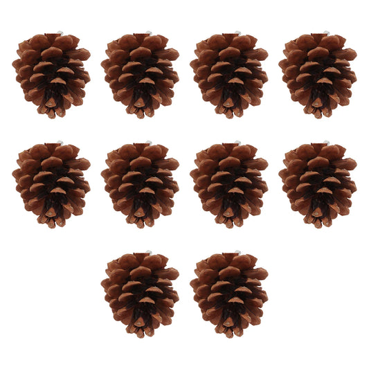 10pcs Natural Pine Cone Chewing Bird Toy for - ProPawPet.com