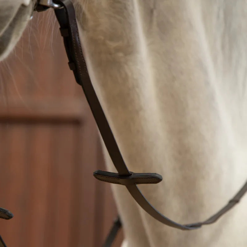 Pure Cowhide Flat Leather Water Leash Bridle - ProPawPet.com