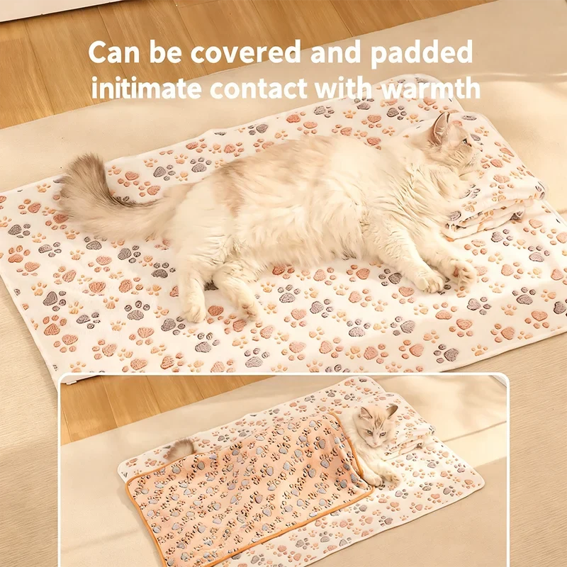 Winter High Quality Soft Fluffy Blanket Cute - ProPawPet.com