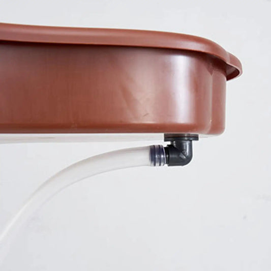 Reptile Bowl Large Plastic Turtle Feeder - ProPawPet.com