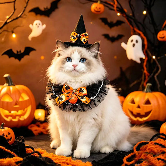 2PCS/SET Halloween Party & Festival DIY - ProPawPet.com