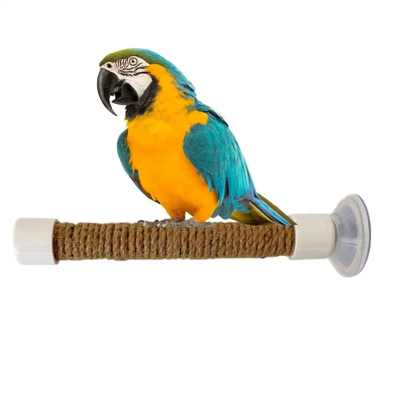 Suction Cup Bird Window And Shower Perch Toy - ProPawPet.com