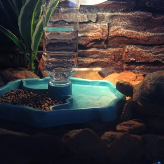 New Removable Reptile Feeder Easy-Clean - ProPawPet.com